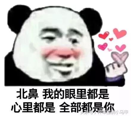 mac正品和假货使用有啥区别吗,二十几的mac真的假的