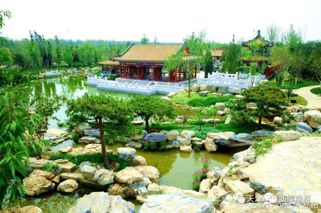 武清南湖旅游景点大全,武清南湖风景区最新消息