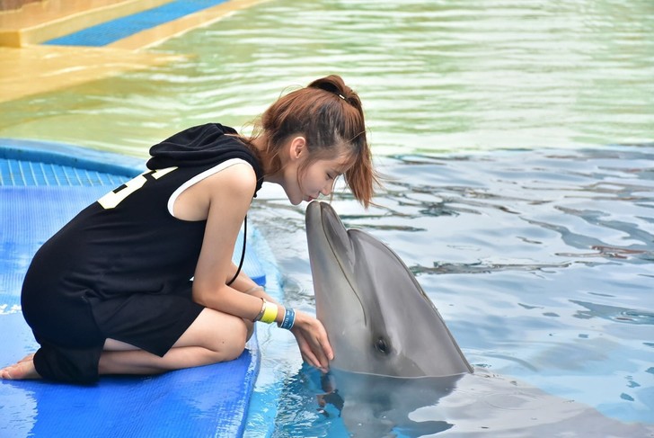 三亚亚特兰蒂斯酒店体验讲解,三亚亚特兰蒂斯酒店自由行攻略