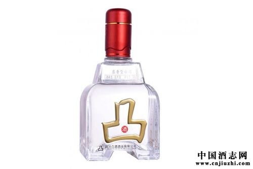 南充嘉陵网红前十名,南充十大著名的人