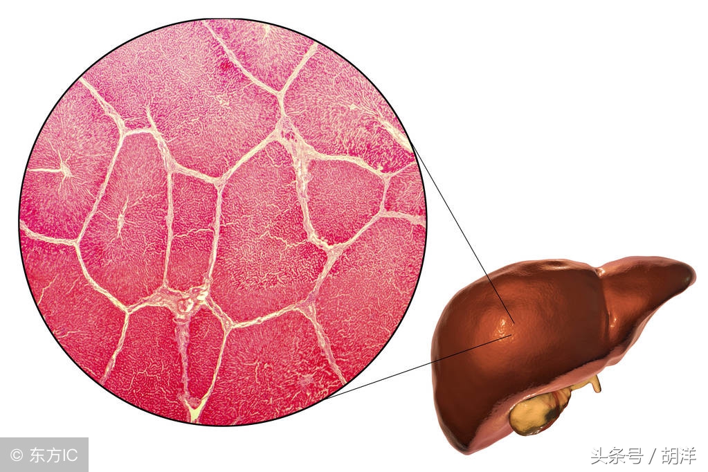 肝脏损伤用护肝药几天能缓解,药吃多了肝脏受损要多久才能恢复