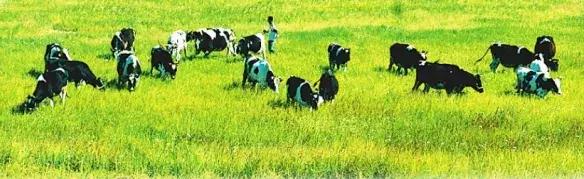 来西博城7号馆，带你畅游神州大地