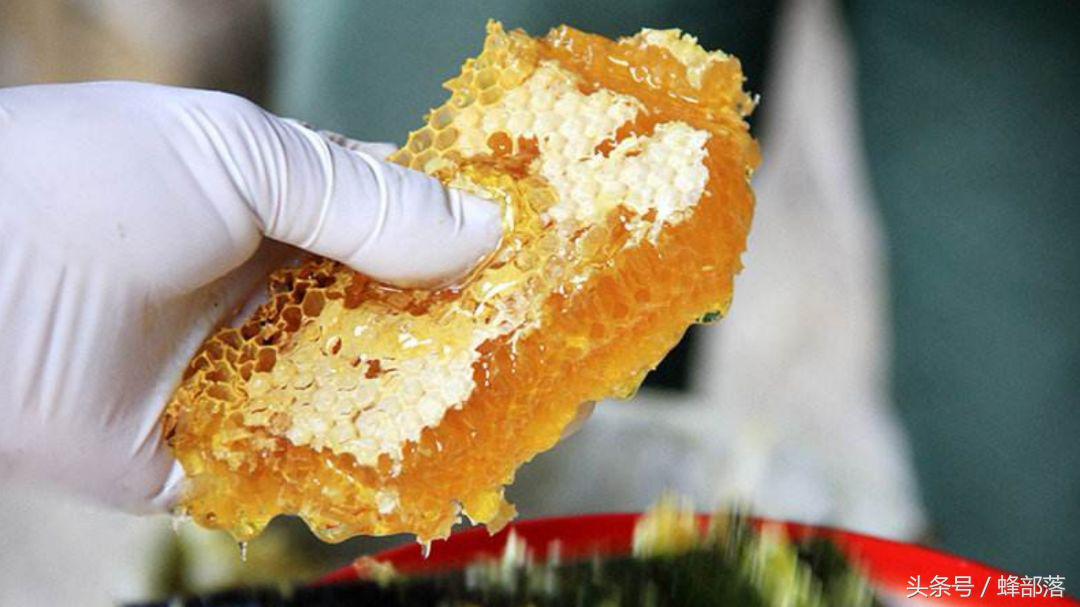 4个原因告诉你，商品化的中蜂蜜，质量远远不及意蜂蜜