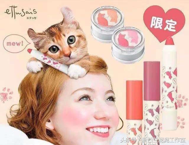猫奴的护肤品,猫奴适合什么护肤品