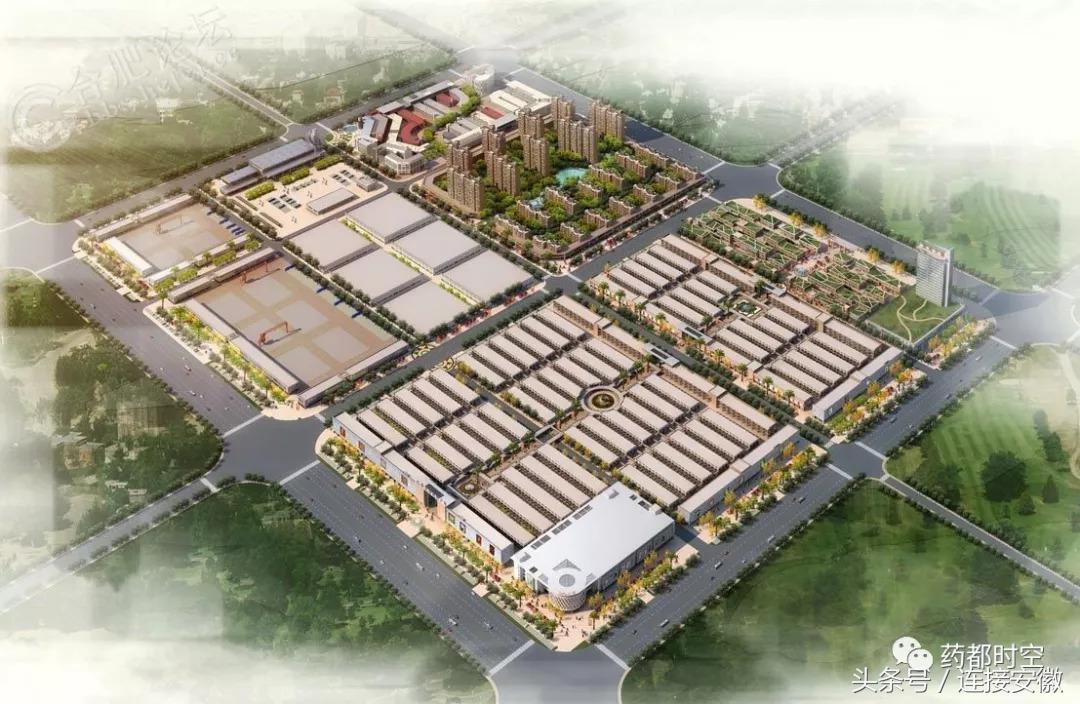 亳州市十八岁的照片,安徽亳州地级市排行