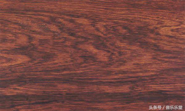 吉他新手选购推荐品牌价格,吉他新手必买书