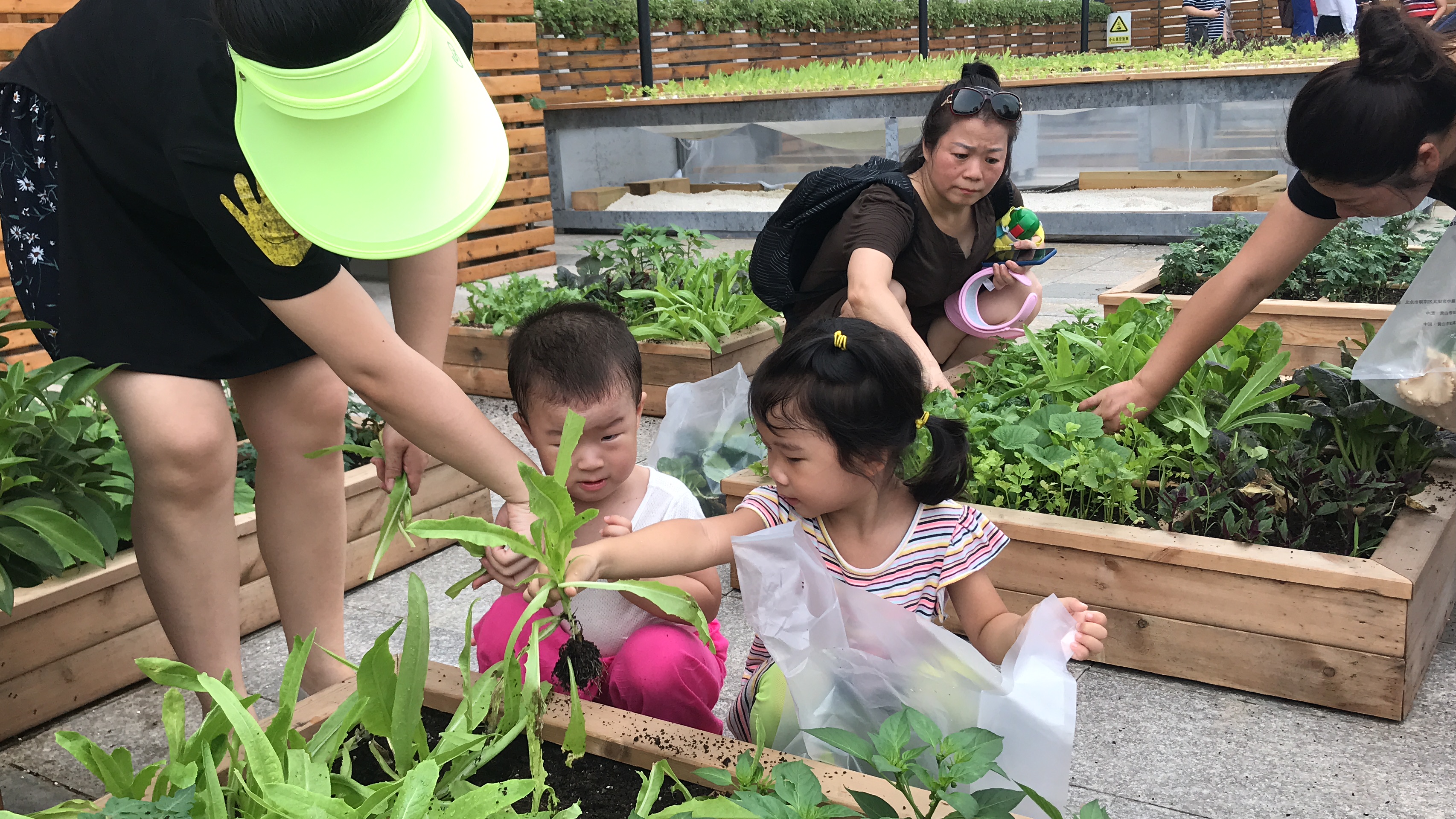 北京太阳宫周围景点有哪些好玩的,太阳宫值得去旅游吗