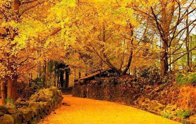 环云南自驾旅游攻略最佳线路,南宁自驾游云南最佳旅游攻略