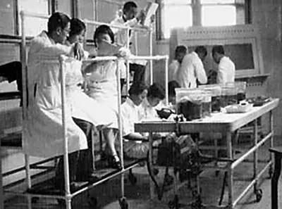 百年协和简介,百年不倒之谜