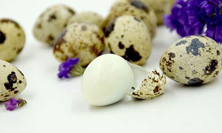 这种蛋誉为“卵中佳品”，但是医生却提醒，这2类人一口都别碰！