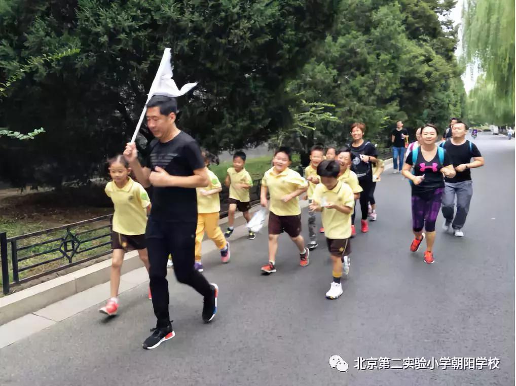 一年级小学社会实践体会,北京第二实验小学考察体会