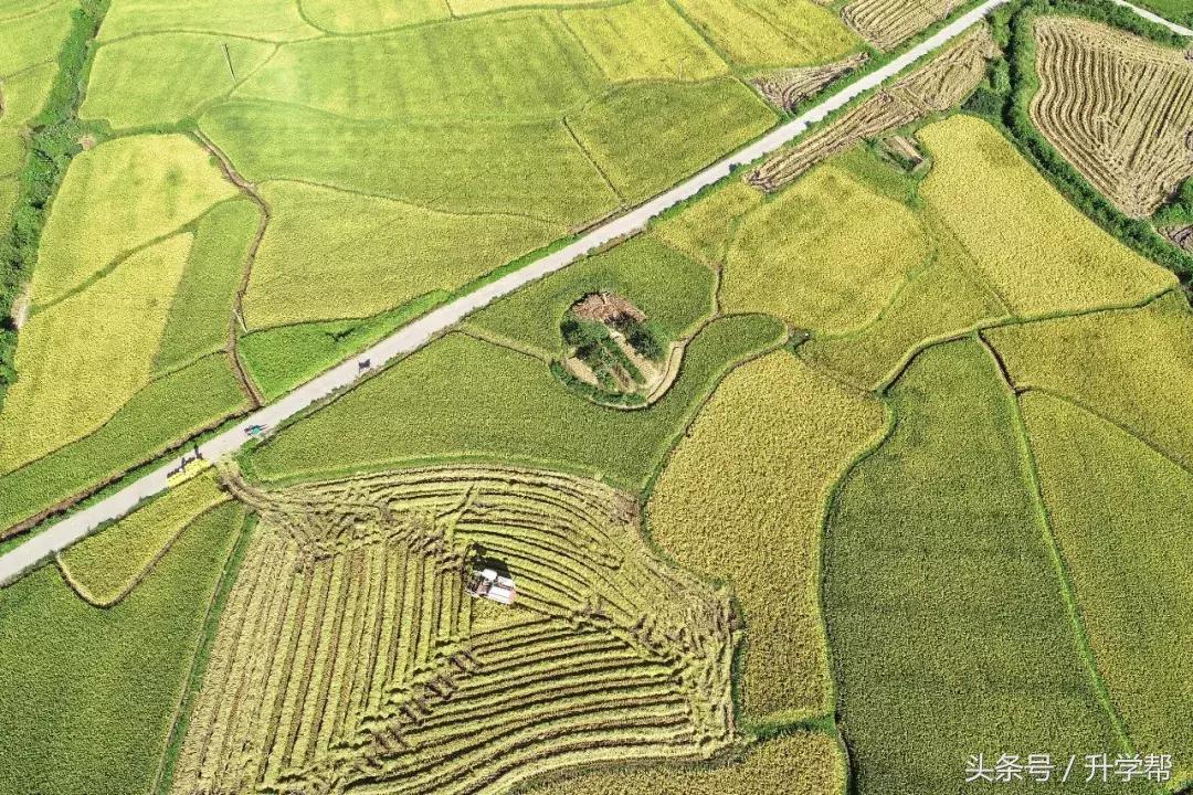 中山大学经济管理专业就业前景,中山大学地球物理专业就业前景