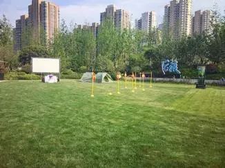 「每日微报」支付宝转账时备注标签要交20%的税？这是谣言！