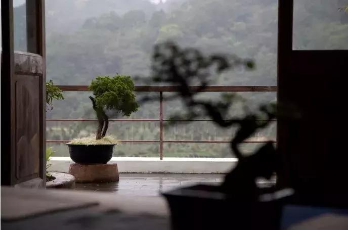 不只美美美，最适合设计师们的台湾7日深度游！