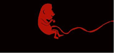 《你的孩子不是你的孩子》:明明是亲生,为何却成了妈妈的遥控器