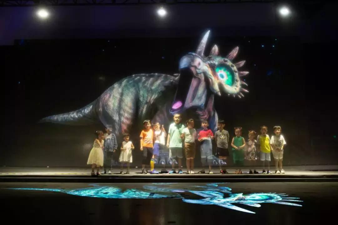 2018cae上海展,2018caac猫展冠军