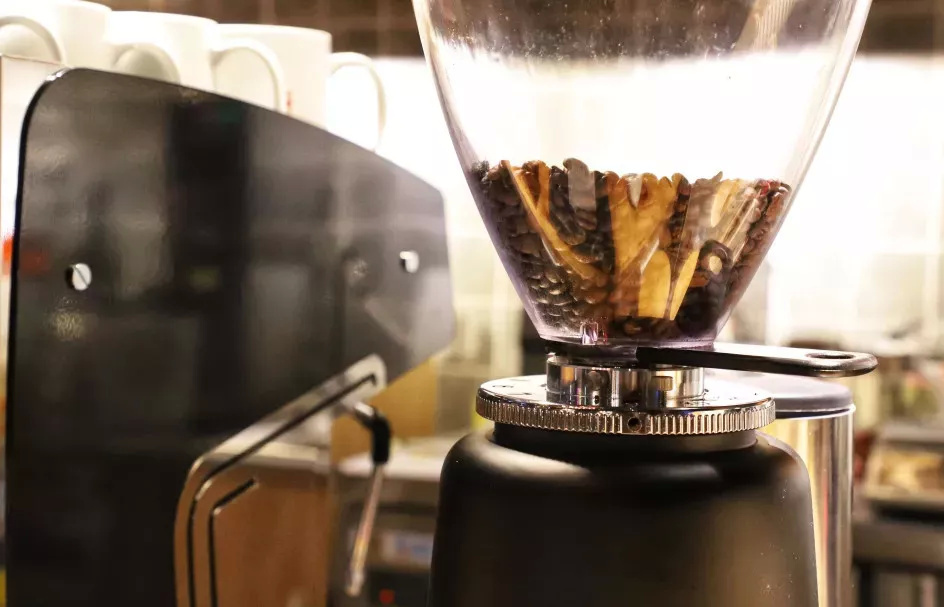 在漫猫喝咖啡，那种无忧的心情，仿佛随着维也纳音符飘到云间……