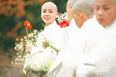 鹿血为什么效果明显,鹿血真的大补吗