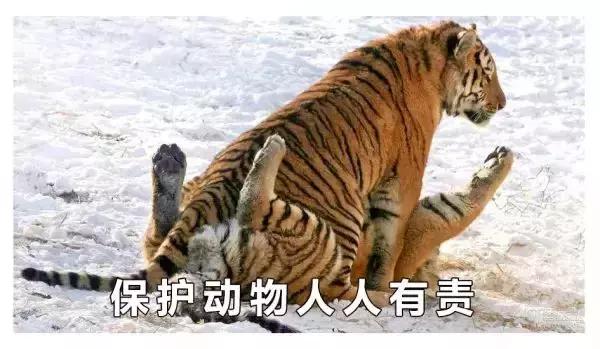 听说有种糖吃了就想睡觉,听说有种新药能降糖