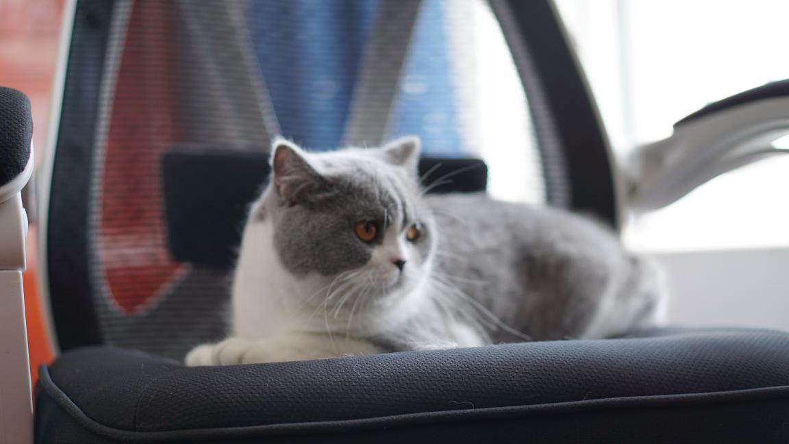 又帅又舒服的人体工学椅推荐,听海工学椅测评