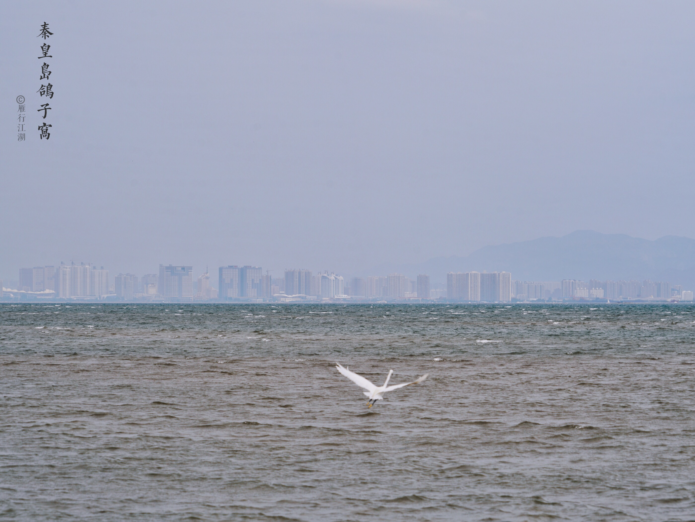 秦皇岛最佳观日出地点,秦皇岛市区日出最佳观赏地