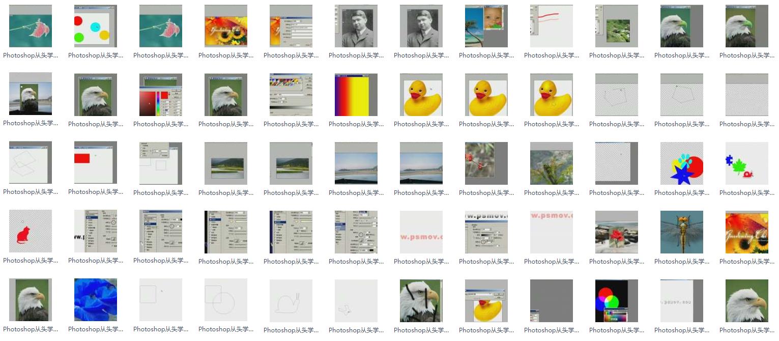 从零开始学ps全套免费视频教程,ps教程快速入门课程线上视频教程
