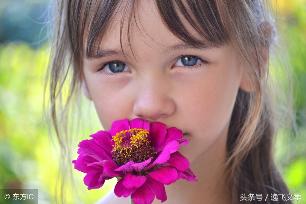 美丽的遇见感言,美丽的遇见在茫茫人海中