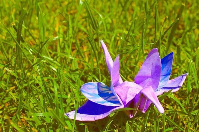 每天折一个千纸鹤,每天折一只纸鹤