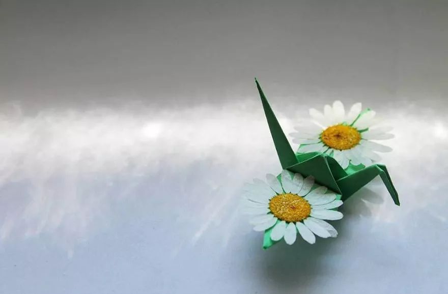 每天折一只纸鹤,每天折8只千纸鹤4天一共折多少只