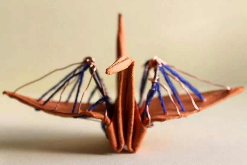 每天折一个千纸鹤,每天折一只纸鹤