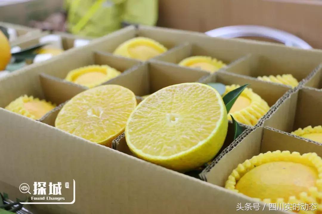 中秋赶地铁就能到的好去处,来一趟西博会好比去了全球90多个地区