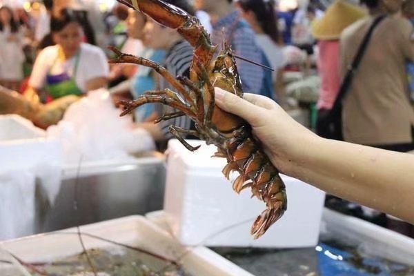 十一去三亚自助游攻略路线怎么走,这份三亚秋冬吃喝攻略请收好