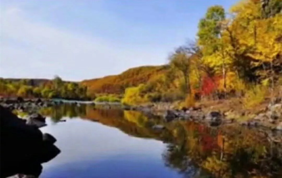 「诗歌」啰唝曲·云台秋色/风鸽