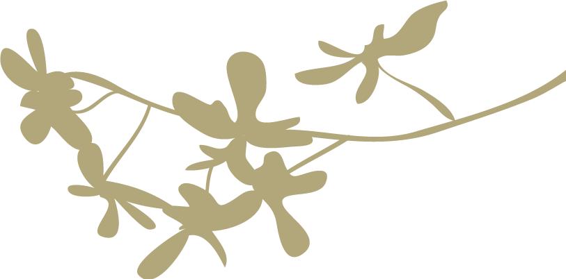 游玩七彩丹霞地貌发朋友圈,华州少华山旅游视频