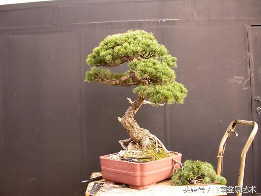 神来之笔绘画作品欣赏,神来之笔书法作品大全