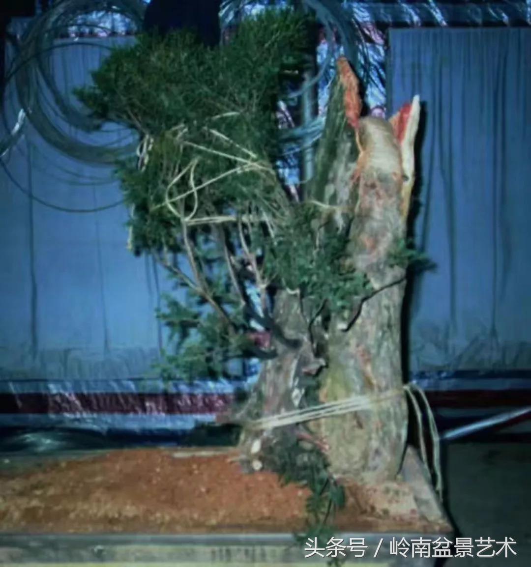 神来之笔绘画作品欣赏,神来之笔书法作品大全