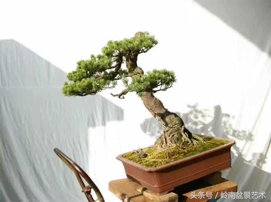 神来之笔绘画作品欣赏,神来之笔书法作品大全