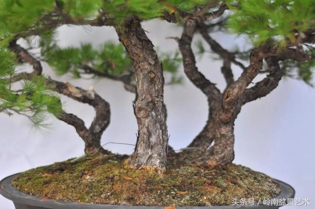 神来之笔绘画作品欣赏,神来之笔书法作品大全