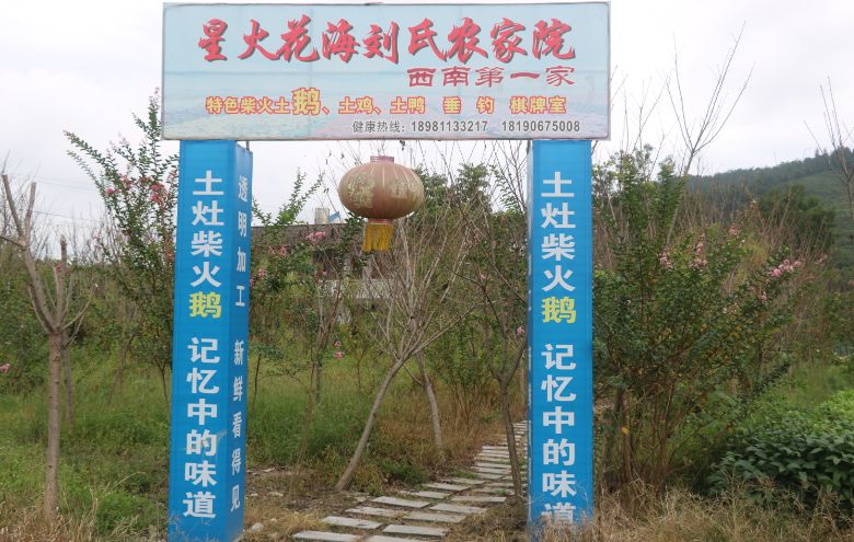 最好看的紫薇花美景,初秋靓丽的紫薇花