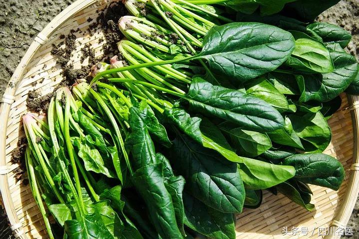补气血抗衰老吃什么菜,天然抗衰老的菜