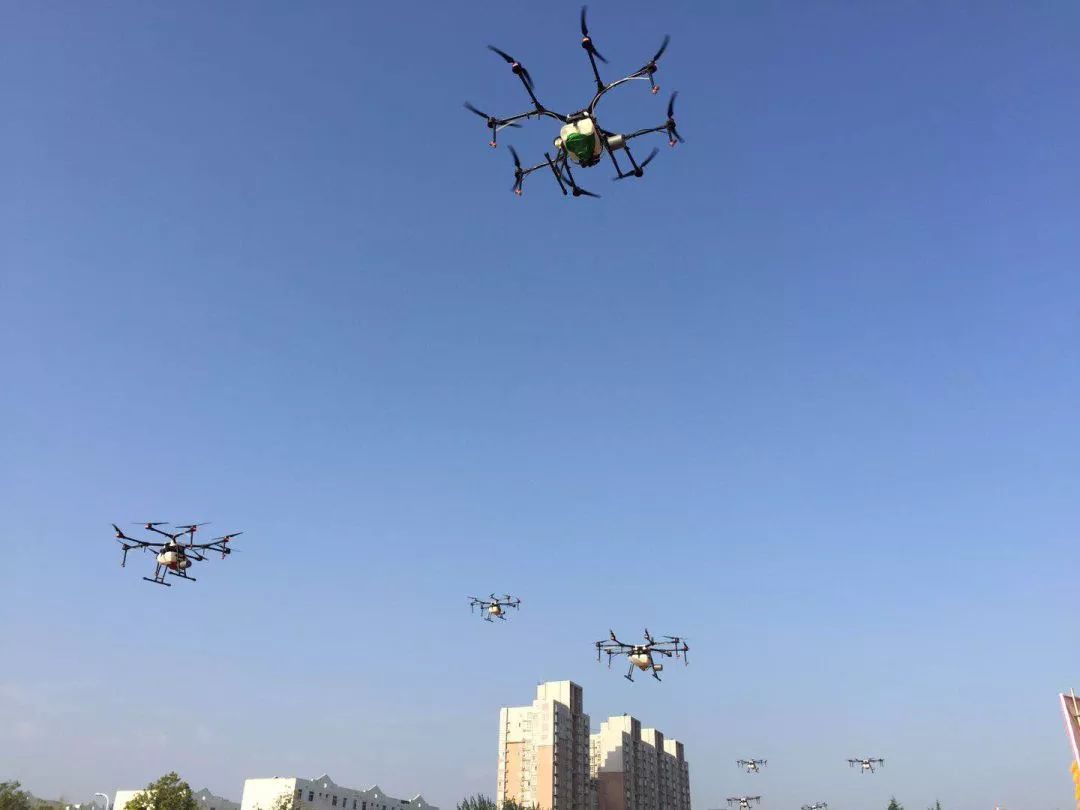 丰收节现场直播报道,丰收节央视新闻直播间