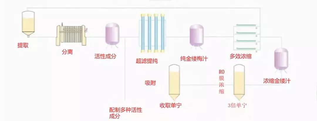 一条拼团｜富含金缕梅精华的爽肤水，全能养护洗发水725g