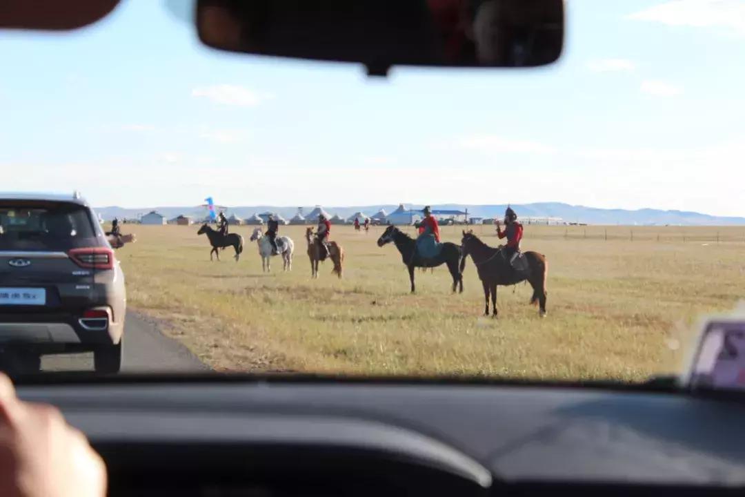 全新一代瑞虎8秘境雨林深度体验 (开19款1.6t豪华版瑞虎8自驾游)