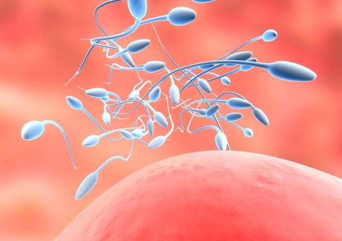 坊间生男孩生女孩的8个传闻，我们来辨别哪些是真哪些是假？