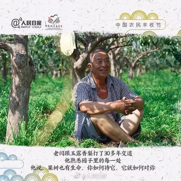 秋分中国农民丰收节会议视频,秋分共庆中国农民丰收节