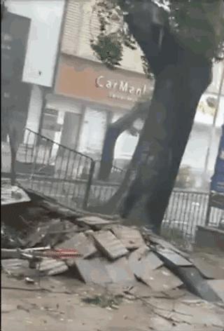 “三竹”过后真正的报应来了