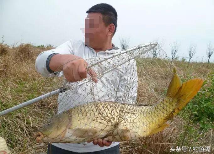 野钓大鱼必须改掉的五个毛病,钓大鱼最佳断线方法