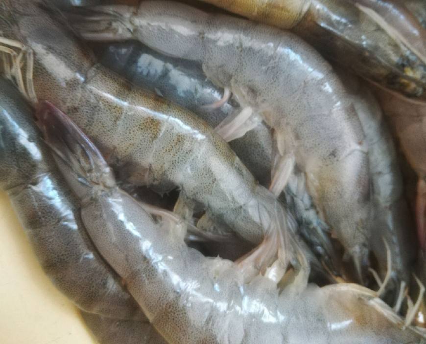 中秋菜谱之正宗烤箱版蒜蓉虾