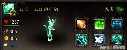 魔兽世界各种稀有宠物排名,魔兽世界稀有宠物排行榜