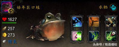 魔兽世界各种稀有宠物排名,魔兽世界稀有宠物排行榜